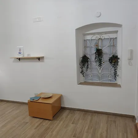 Coral * בארי